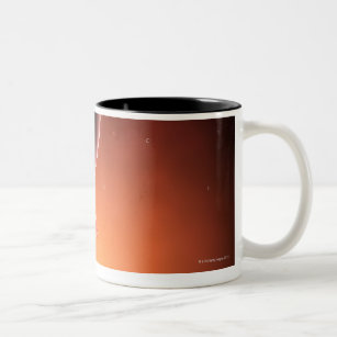 Two Month Old Foetus Two-Tone Coffee Mug
