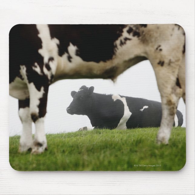 two mouse pad (Front)