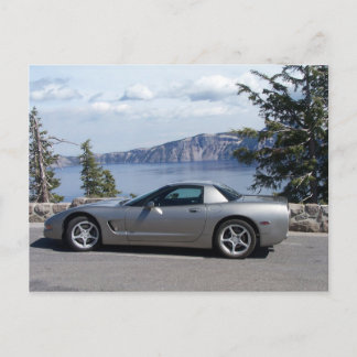 Two Natural Beauties Postcard