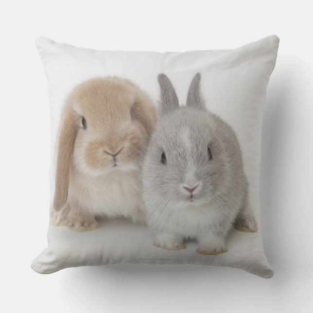 Two Netherland Dwarf and Holland Lop bunnies Cushion (Front)