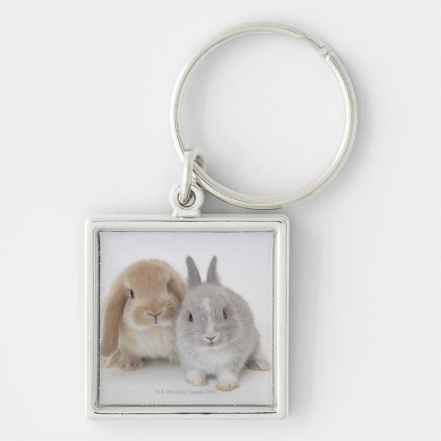 Two Netherland Dwarf and Holland Lop bunnies Key Ring (Front)