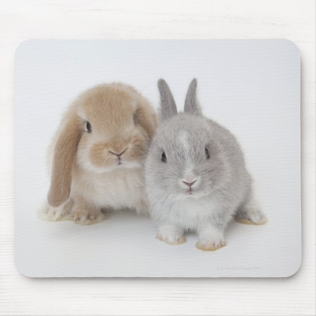 Two Netherland Dwarf and Holland Lop bunnies Mouse Pad (Front)