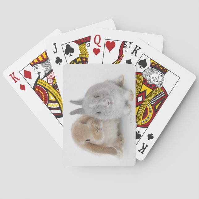 Two Netherland Dwarf and Holland Lop bunnies Playing Cards (Back)