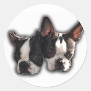 Two of a Kind Classic Round Sticker