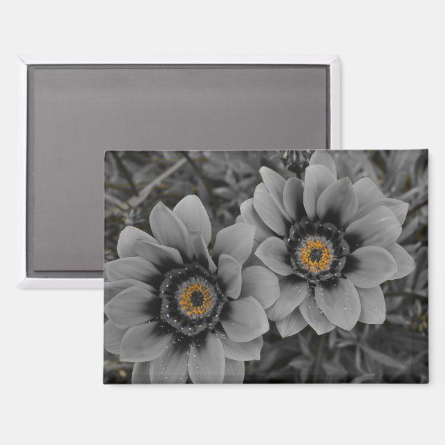 Two of a Kind Magnet (Front/Back)