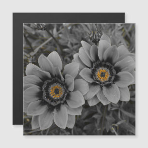 Two of a Kind Magnetic Card