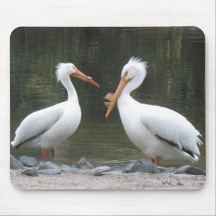 Two Old Friends Pelicans Mouse Pad