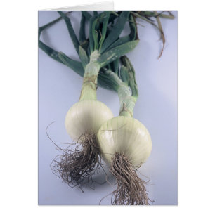 Two Onions