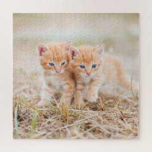 Two Orange Tiger Kittens in Grass Jigsaw Puzzle