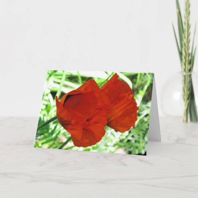Two Oriental Poppies Flower Photo Card (Front)