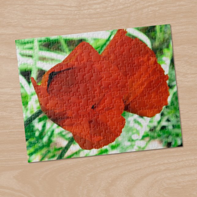 Two Oriental Poppies Flower Photo Jigsaw Puzzle (Two Oriental Poppies Flower Photo Jigsaw Puzzle, in situ)