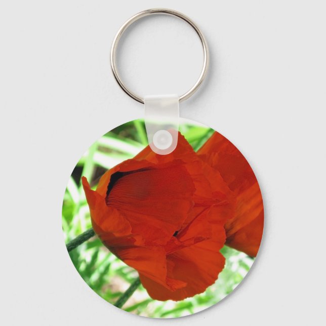 Two Oriental Poppies Flower Photo Key Ring (Front)