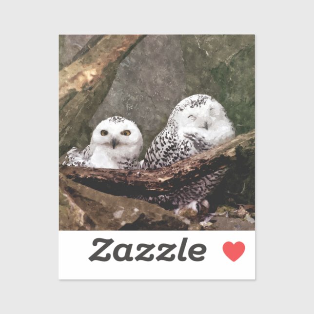 Two Owls (Sheet)
