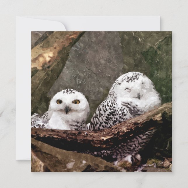 Two Owls (Front)