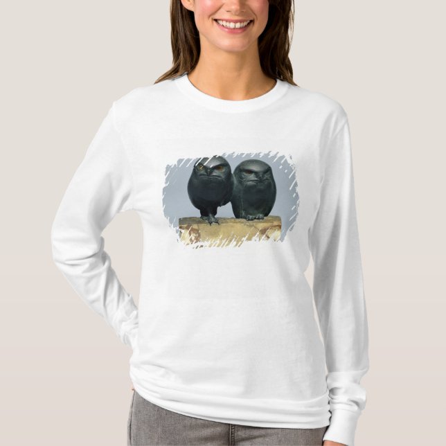 Two Owls, 1903-04 T-Shirt (Front)