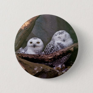 Two Owls 6 Cm Round Badge