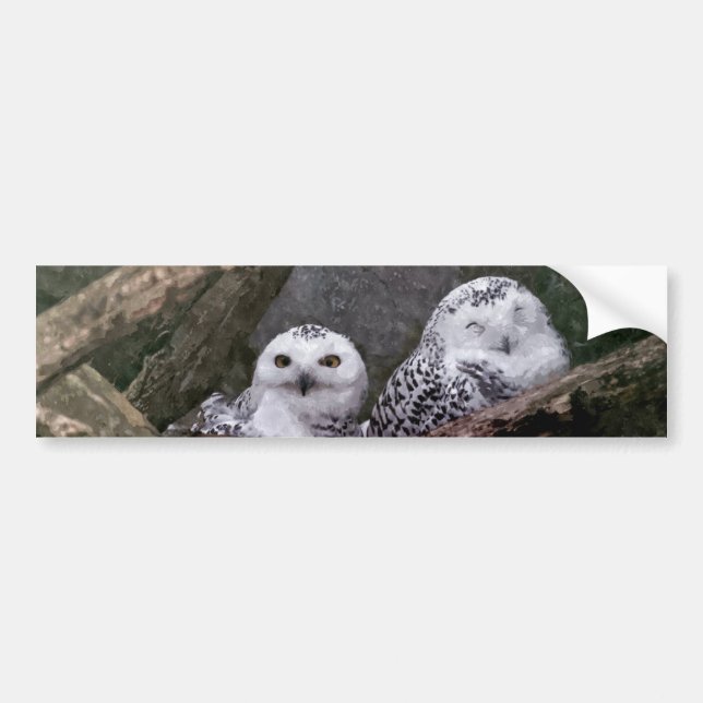 Two Owls Bumper Sticker (Front)