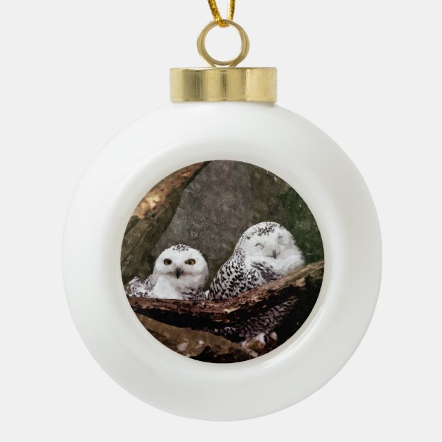 Two Owls Ceramic Ball Christmas Ornament (Front)