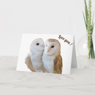 two owls friends card