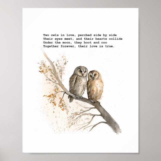 Two Owls in Love Poster (Front)