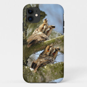 Two Owls in the Woods, birds, wildlife Case-Mate i iPhone 11 Case