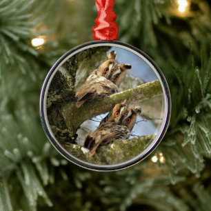 Two Owls in the Woods, birds, wildlife Ceramic Orn Metal Ornament