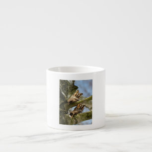 Two Owls in the Woods, birds, wildlife Espresso Cu Cup