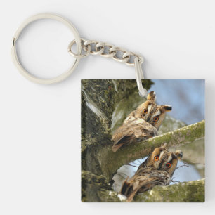 Two Owls in the Woods, birds, wildlife Key Ring