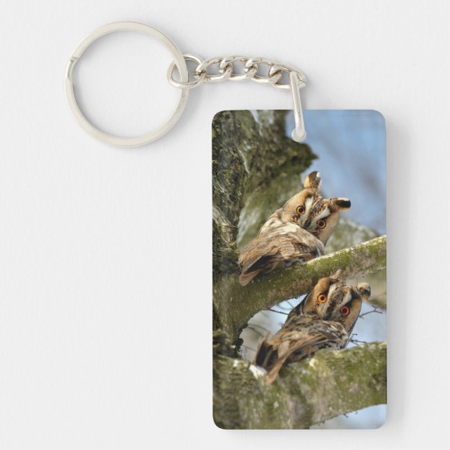 Two Owls in the Woods, birds, wildlife Keychain (Front)