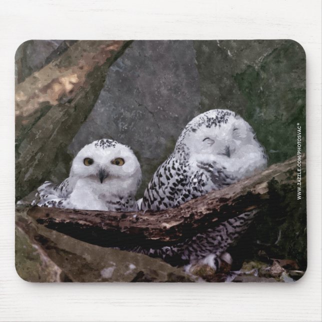 Two Owls Mouse Pad (Front)