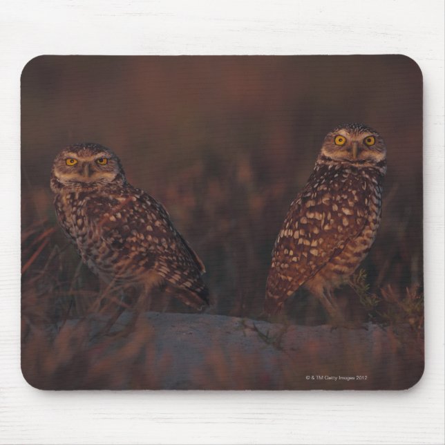 Two Owls on Sand Mouse Pad (Front)
