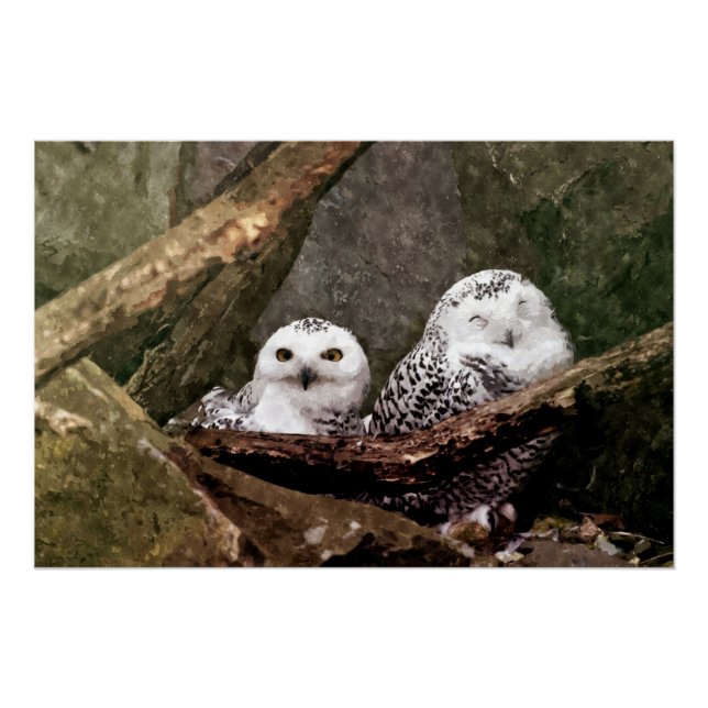 Two Owls Poster (Front)