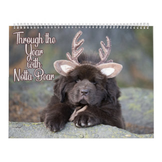 Two Page LargeCalendar Notta Bear Through The Year Calendar