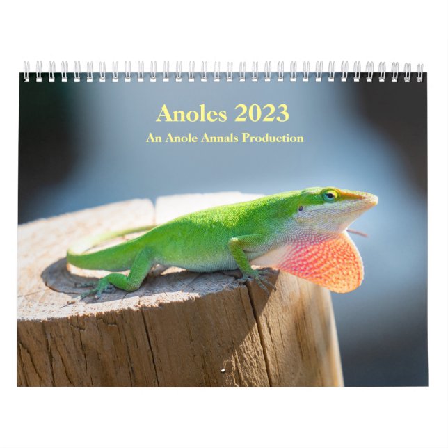 Two Page MediumCalendar, White Calendar (Cover)