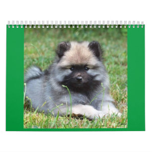 Two Page MediumCalendar, White Calendar