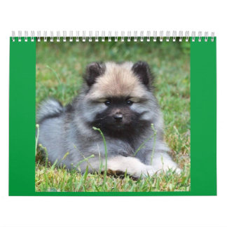 Two Page MediumCalendar, White Calendar