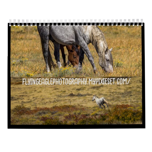 Two Page MediumCalendar, White Calendar (Back)