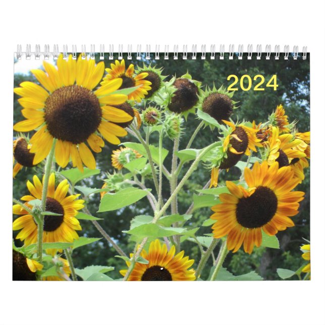 Two Page MediumCalendar, White Calendar (Cover)