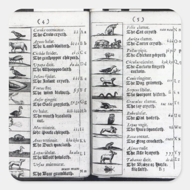 Two pages from 'Orbis Sensualium Pictus' Square Sticker (Front)