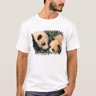 Two panda cubs in the bamboo bush, Wolong, T-Shirt
