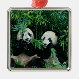 Two pandas eating bamboo together, Wolong, 2 Metal Ornament