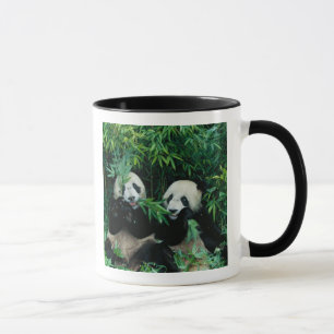 Two pandas eating bamboo together, Wolong Mug