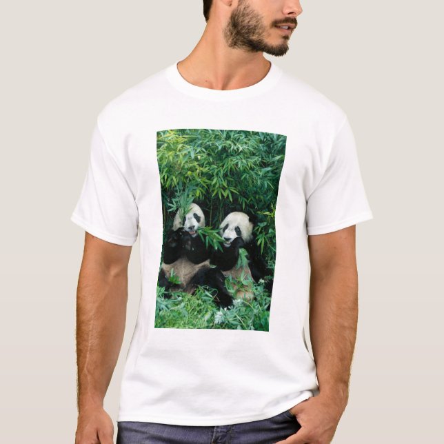 Two pandas eating bamboo together, Wolong T-Shirt (Front)