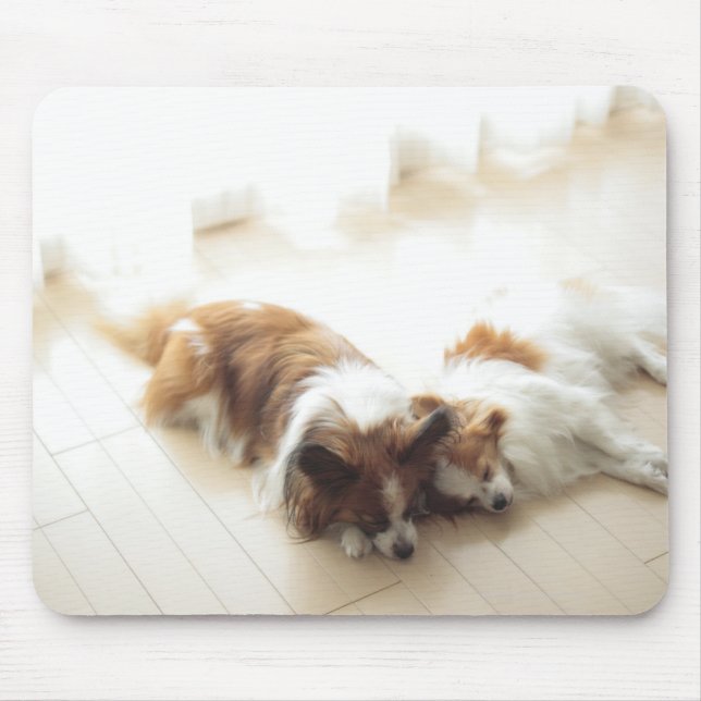 Two Papillion sleeping Mouse Pad (Front)