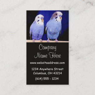 Two Parakeets Business Cards
