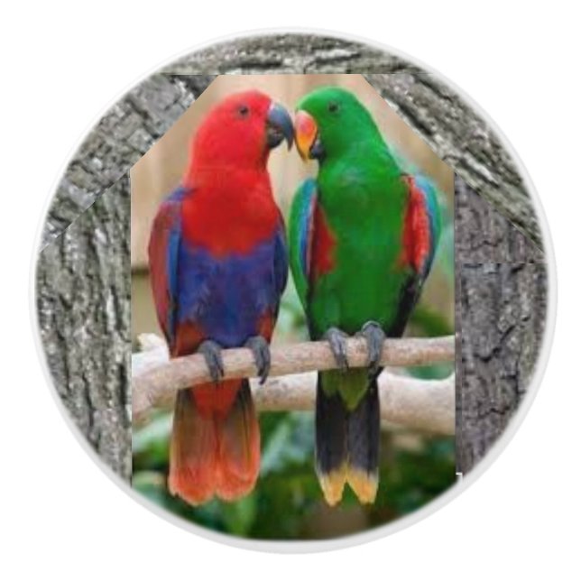 Two parrots on a ceramic door knob and door pulls. (Front)