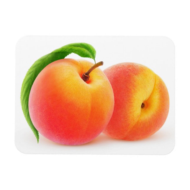 Two peaches magnet (Horizontal)