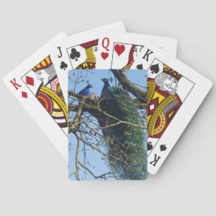 Two Peacocks in a Tree Poker Cards