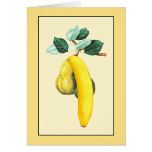 Two Pears and a Banana