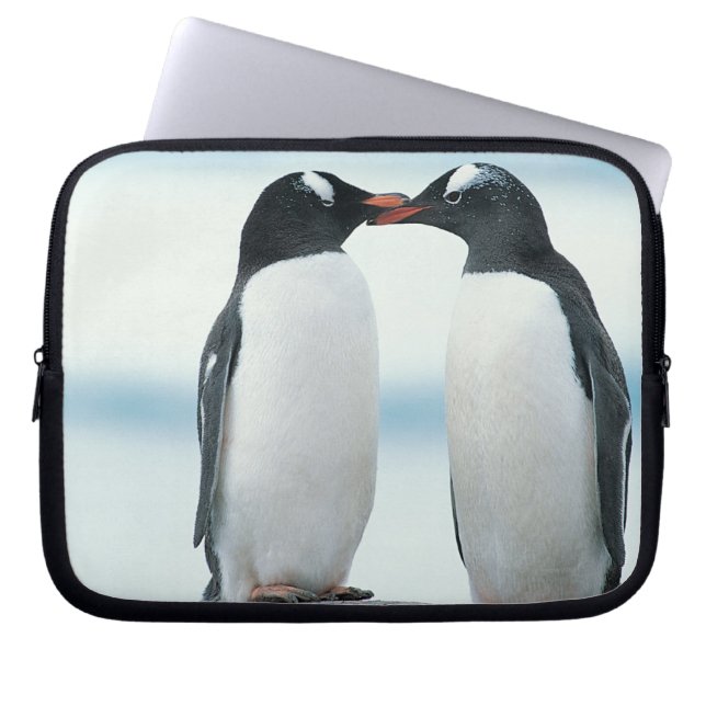 Two Penguins touching beaks Laptop Sleeve (Front)